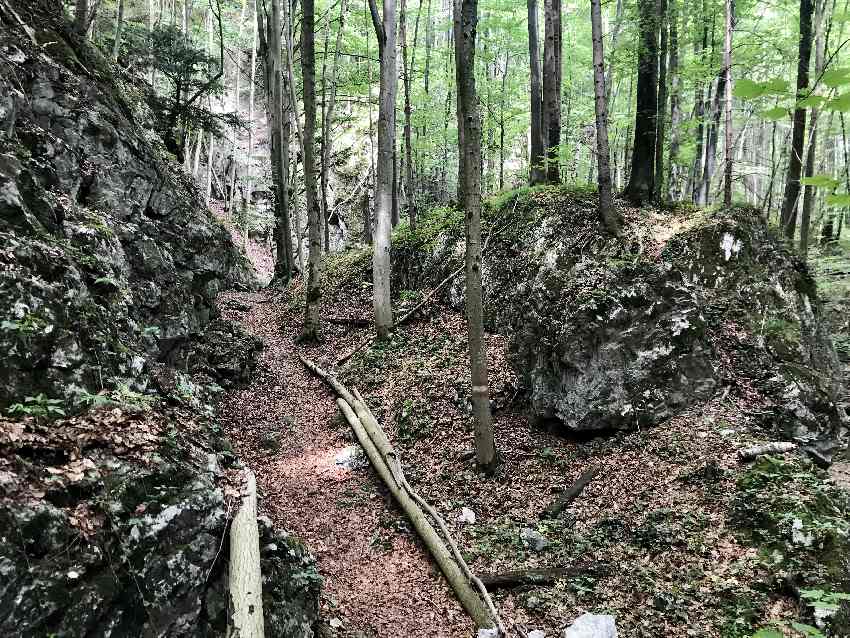 Wolfsschlucht wandern