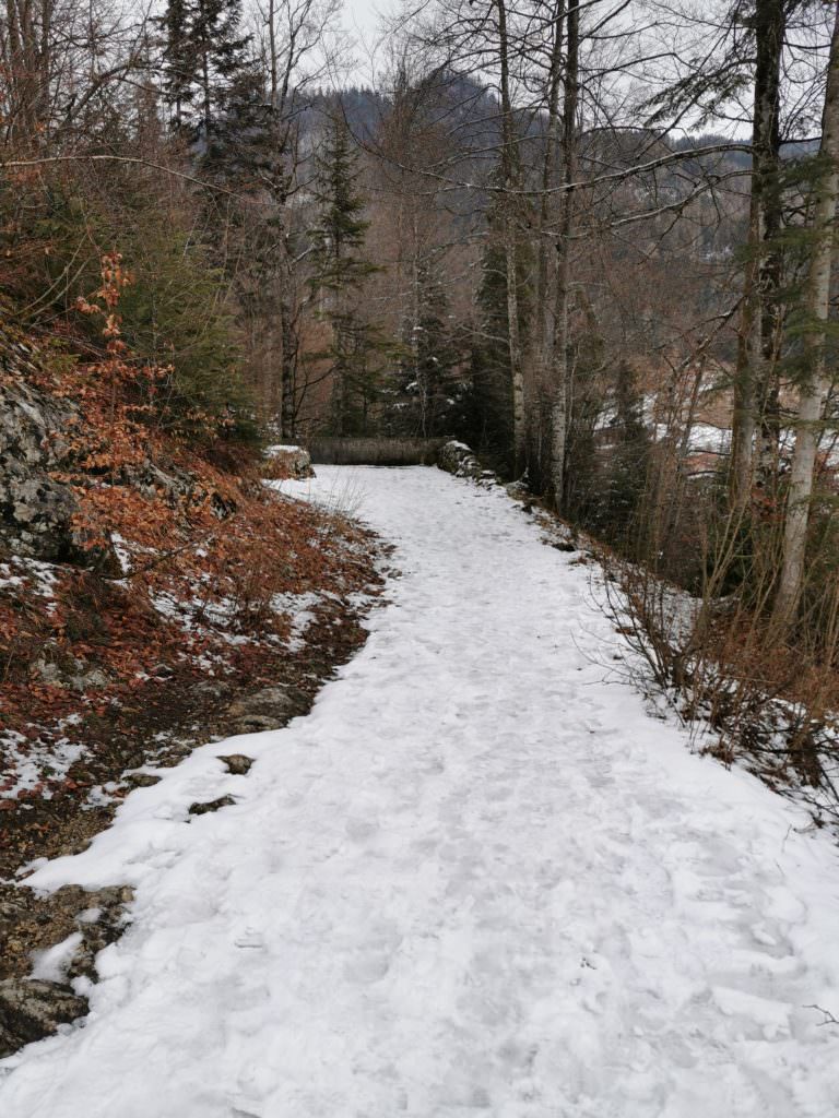 Winterwanderung Oberaudorf - im Schnee zu den Tatzelwurm Wasserfällen. Hier kann´s rutschig sein!