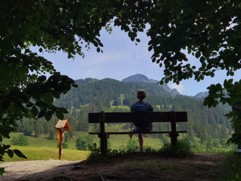 Aussichtsbank mit Blick zum Wendelstein, unterhalb vom Siglhof