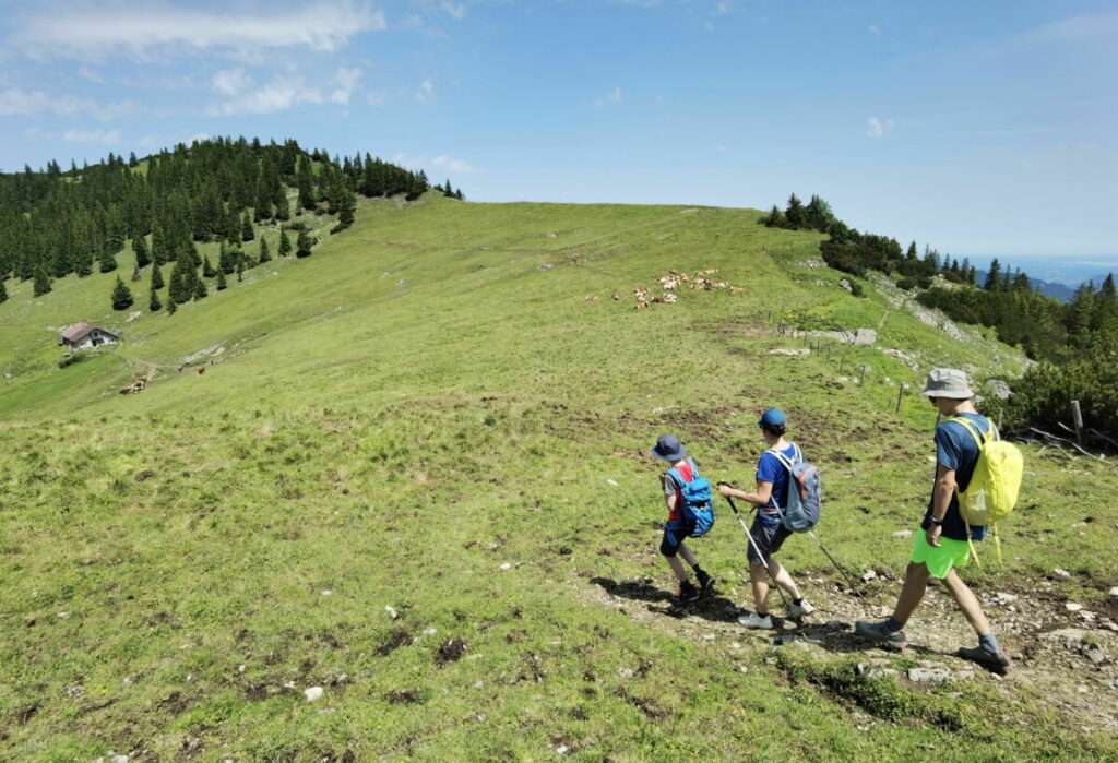 Sudelfeld wandern - auf den Almwiesen am Fellalmsattel, links der Kleine Traithen