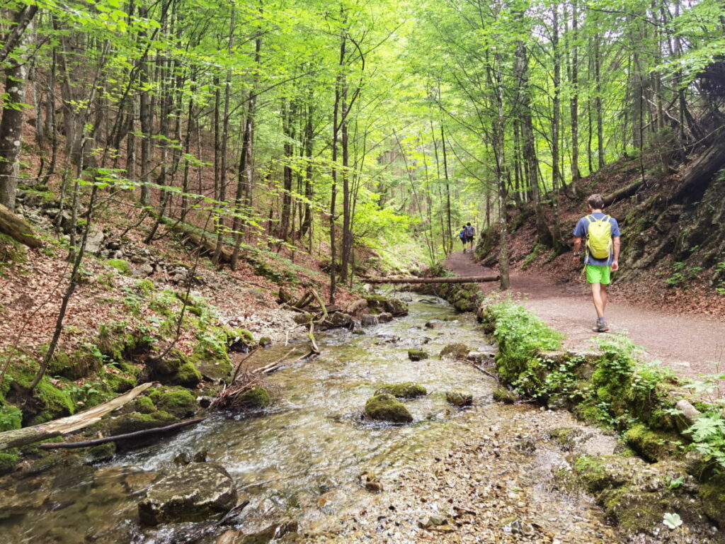 Die Josefsthaler Wasserfälle Wanderung führt entlang der Wassers wildromantisch durch den Wald