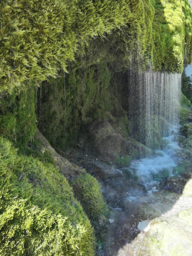 Wachsender Wasserfall in Deutschland: Der Dreimühlen Wasserfall oder Nohner Wasserfall in der Eifel